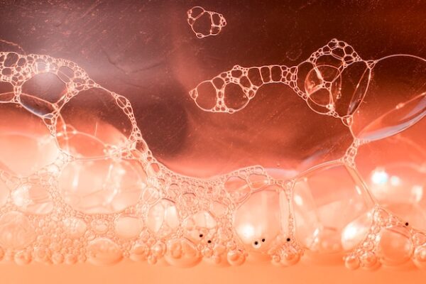 Colágeno de medusa: la vía para rentabilizar la pesca accidental